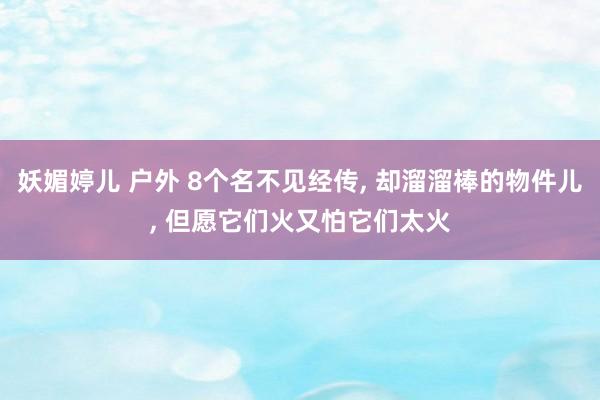 妖媚婷儿 户外 8个名不见经传, 却溜溜棒的物件儿, 但愿它们火又怕它们太火