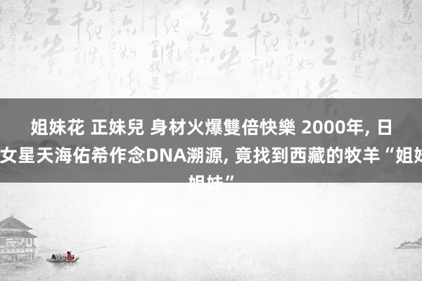 姐妹花 正妹兒 身材火爆雙倍快樂 2000年, 日本女星天海佑希作念DNA溯源, 竟找到西藏的牧羊“姐妹”