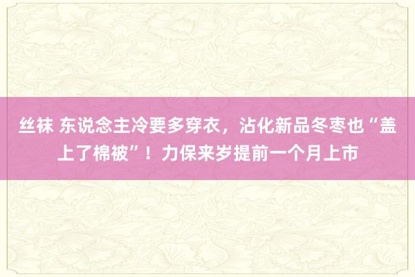 丝袜 东说念主冷要多穿衣，沾化新品冬枣也“盖上了棉被”！力保来岁提前一个月上市