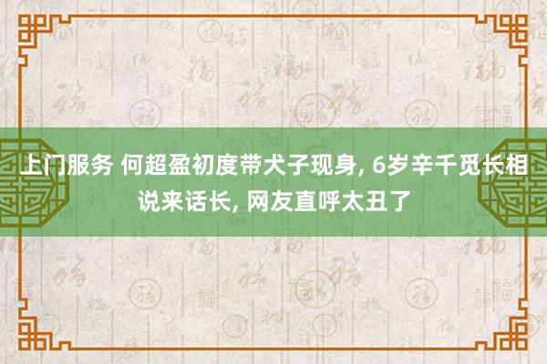 上门服务 何超盈初度带犬子现身, 6岁辛千觅长相说来话长, 网友直呼太丑了