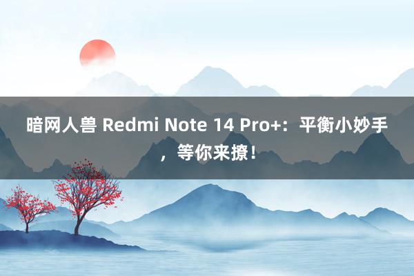 暗网人兽 Redmi Note 14 Pro+：平衡小妙手，等你来撩！