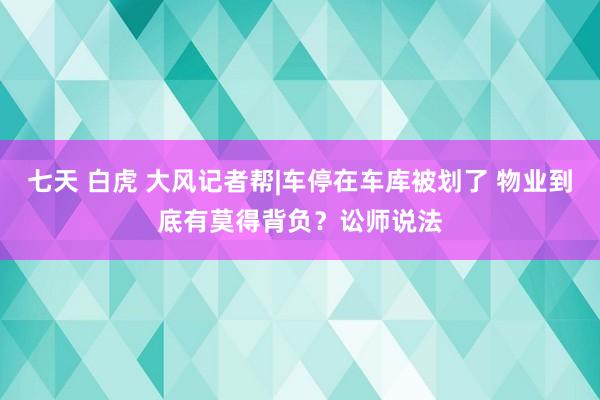 七天 白虎 大风记者帮|车停在车库被划了 物业到底有莫得背负？讼师说法