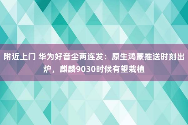 附近上门 华为好音尘两连发：原生鸿蒙推送时刻出炉，麒麟9030时候有望栽植