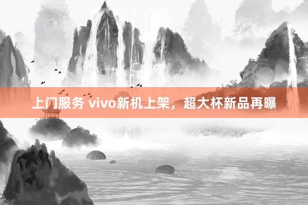 上门服务 vivo新机上架，超大杯新品再曝