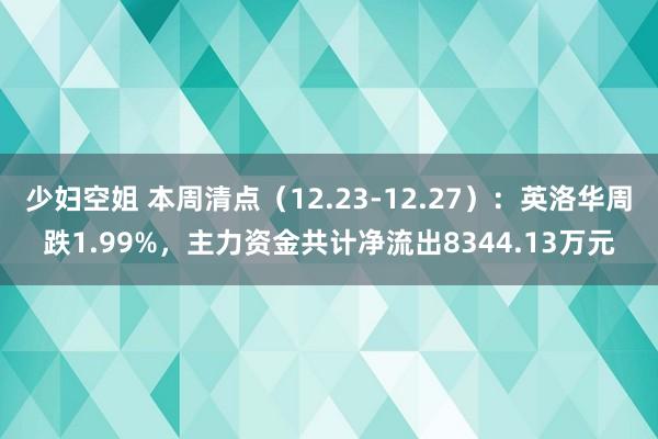 少妇空姐 本周清点（12.23-12.27）：英洛华周跌1.99%，主力资金共计净流出8344.13万元