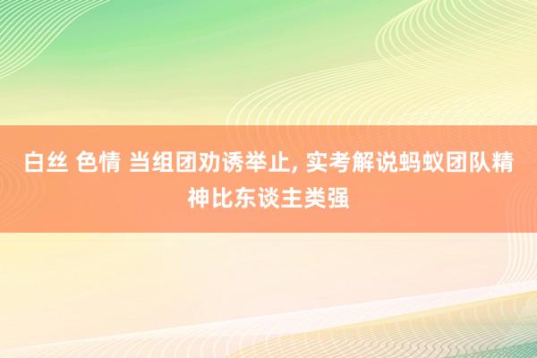 白丝 色情 当组团劝诱举止， 实考解说蚂蚁团队精神比东谈主类强