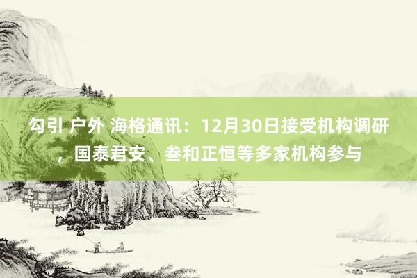 勾引 户外 海格通讯：12月30日接受机构调研，国泰君安、叁和正恒等多家机构参与