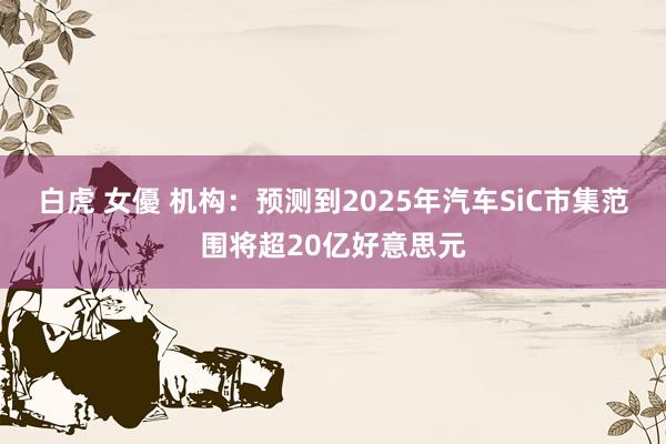 白虎 女優 机构：预测到2025年汽车SiC市集范围将超20亿好意思元