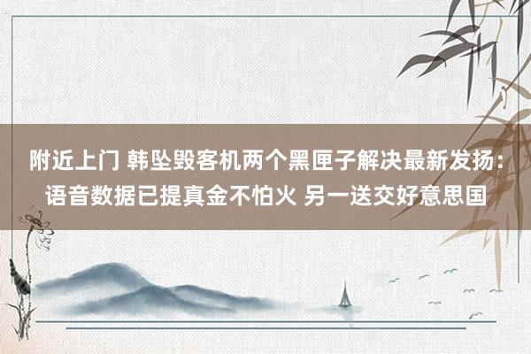 附近上门 韩坠毁客机两个黑匣子解决最新发扬：语音数据已提真金不怕火 另一送交好意思国