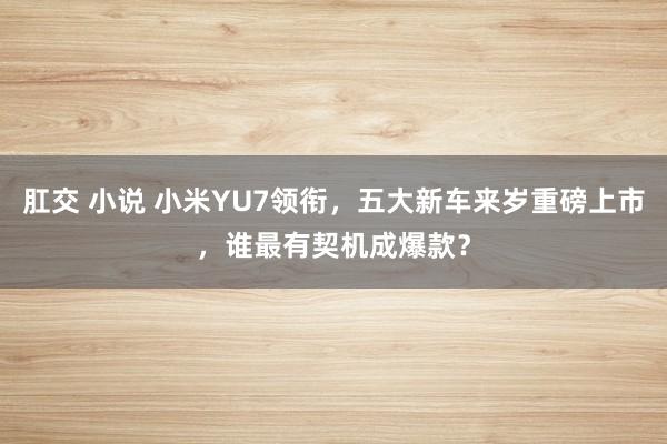 肛交 小说 小米YU7领衔，五大新车来岁重磅上市，谁最有契机成爆款？