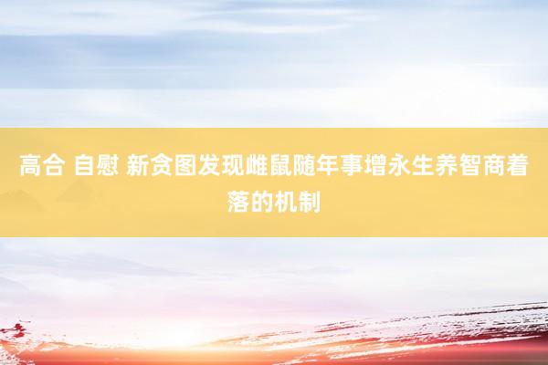 高合 自慰 新贪图发现雌鼠随年事增永生养智商着落的机制