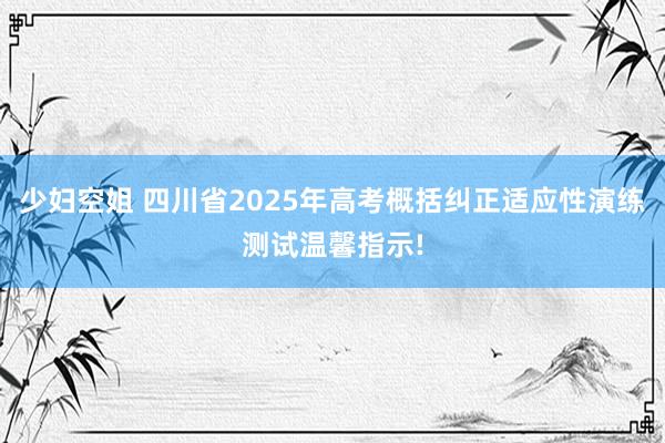 少妇空姐 四川省2025年高考概括纠正适应性演练测试温馨指示!