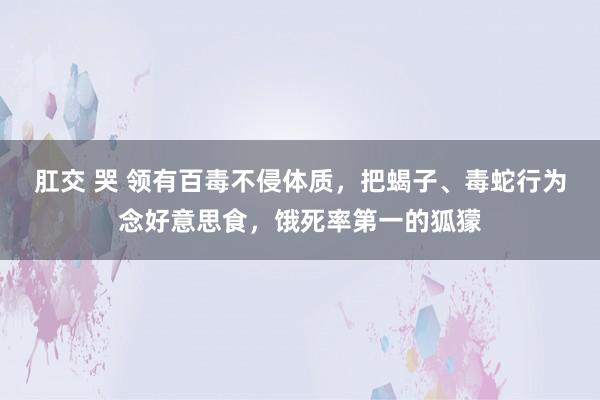 肛交 哭 领有百毒不侵体质，把蝎子、毒蛇行为念好意思食，饿死率第一的狐獴