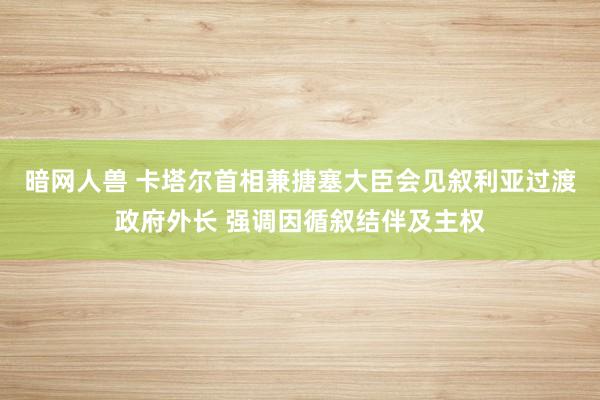 暗网人兽 卡塔尔首相兼搪塞大臣会见叙利亚过渡政府外长 强调因循叙结伴及主权