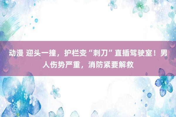 动漫 迎头一撞，护栏变“刺刀”直插驾驶室！男人伤势严重，消防紧要解救