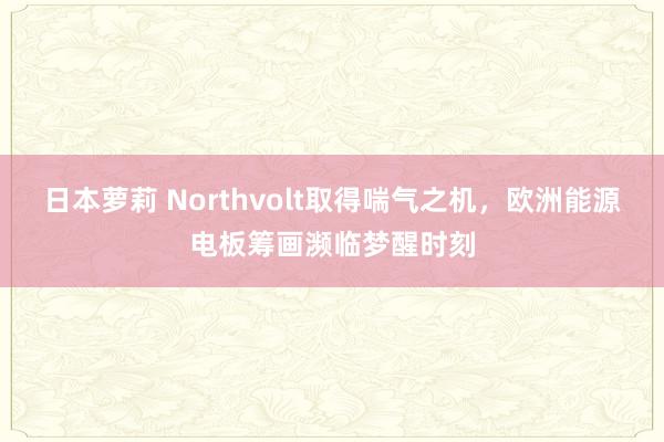 日本萝莉 Northvolt取得喘气之机，欧洲能源电板筹画濒临梦醒时刻