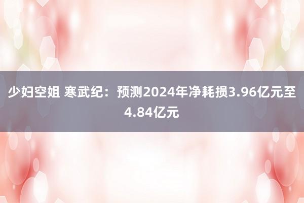 少妇空姐 寒武纪：预测2024年净耗损3.96亿元至4.84亿元