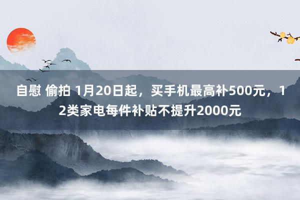 自慰 偷拍 1月20日起，买手机最高补500元，12类家电每件补贴不提升2000元