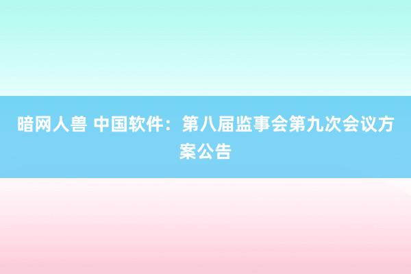 暗网人兽 中国软件：第八届监事会第九次会议方案公告